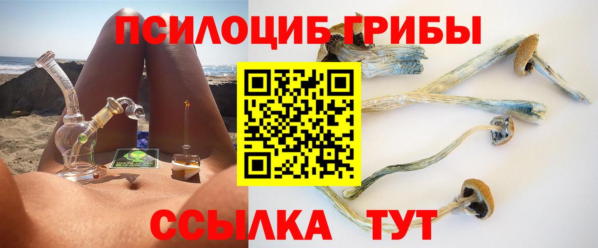 Первоуральск  Галлюциногенные грибы Cubensis  Вход с VPN 